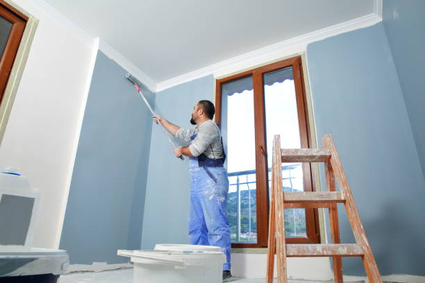 Professional Mold Removal in Lone Pine, CA