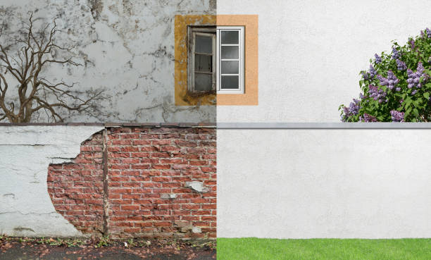 Best Mold Damage Restoration  in Lone Pine, CA